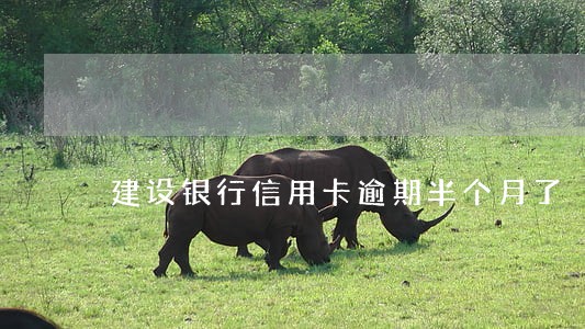 建设银行信用卡逾期半个月了 建设银行信用卡逾期半个月了