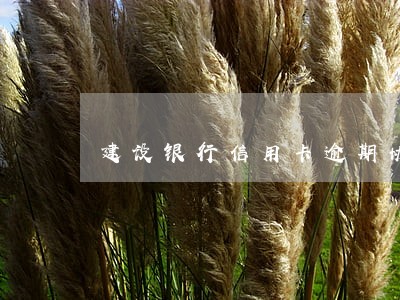 建设银行信用卡逾期协商处理记录 建设银行信用卡逾期协商处理记录