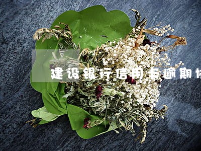 建设银行信用卡逾期协商多久通过 建设银行信用卡逾期协商多久通过