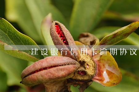 建设银行信用卡逾期协议还款 建设银行信用卡逾期协议还款
