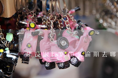 建设银行信用卡逾期去哪里协商