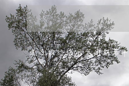 建设银行信用卡逾期名单