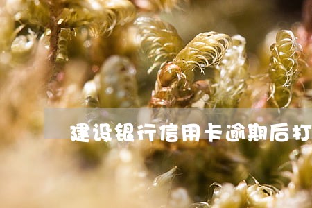 建设银行信用卡逾期后打电话 建设银行信用卡逾期后打电话