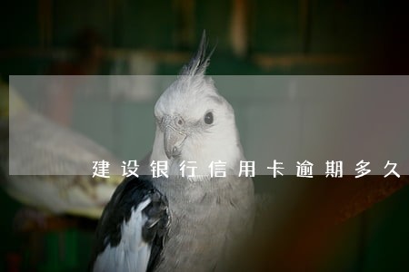 建设银行信用卡逾期多久 建设银行信用卡逾期多久