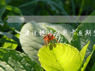 建设银行信用卡逾期多久上门走访 建设银行信用卡逾期多久上门走访
