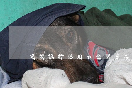 建设银行信用卡逾期多久了 建设银行信用卡逾期多久了