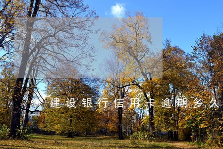 建设银行信用卡逾期多久会联系 建设银行信用卡逾期多久会联系