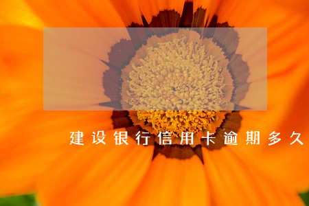 建设银行信用卡逾期多久会被停 建设银行信用卡逾期多久会被停