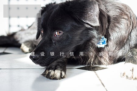 建设银行信用卡逾期多久去办 建设银行信用卡逾期多久去办