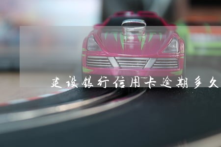 建设银行信用卡逾期多久可以消除