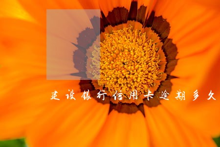 建设银行信用卡逾期多久找上门 建设银行信用卡逾期多久找上门