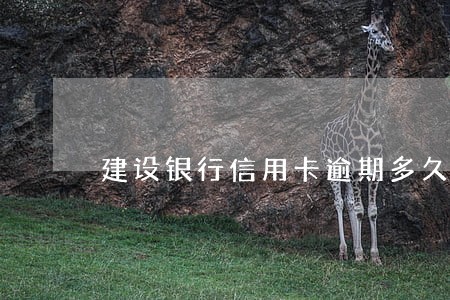 建设银行信用卡逾期多久致电 建设银行信用卡逾期多久致电