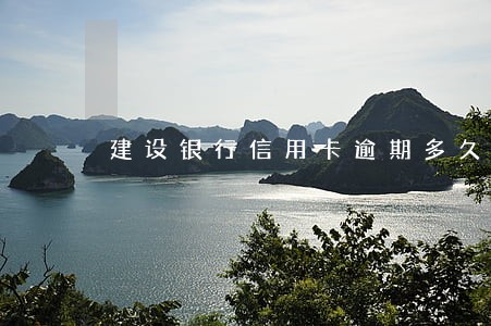 建设银行信用卡逾期多久解封 建设银行信用卡逾期多久解封