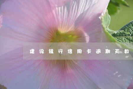 建设银行信用卡逾期天数 建设银行信用卡逾期天数