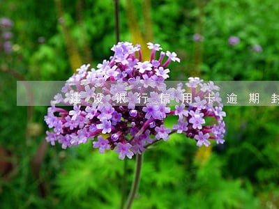 建设银行信用卡逾期封卡吗 建设银行信用卡逾期封卡吗