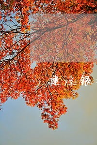 建设银行信用卡逾期工资卡被扣钱 建设银行信用卡逾期工资卡被扣钱