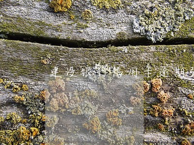 建设银行信用卡逾期强制执行