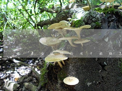 建设银行信用卡逾期怎么消除