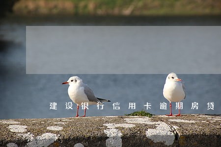 建设银行信用卡逾期房贷合法吗 建设银行信用卡逾期房贷合法吗