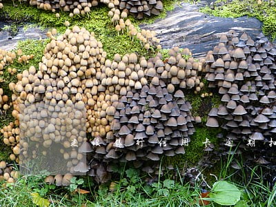 建设银行信用卡逾期扣款 建设银行信用卡逾期扣款