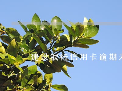 建设银行信用卡逾期无法减免 建设银行信用卡逾期无法减免