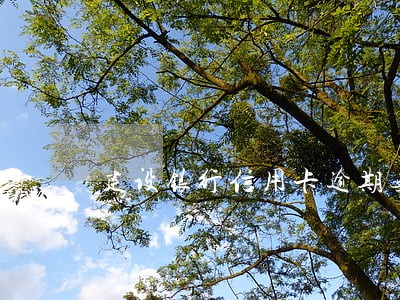建设银行信用卡逾期无法减息