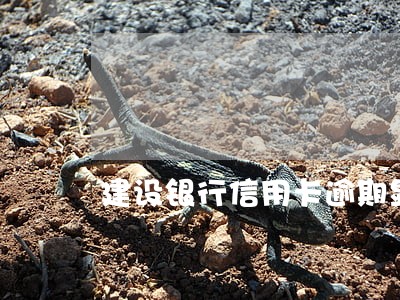 建设银行信用卡逾期显示为负数 建设银行信用卡逾期显示为负数