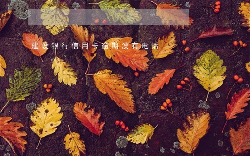 建设银行信用卡逾期没有电话 建设银行信用卡逾期没有电话