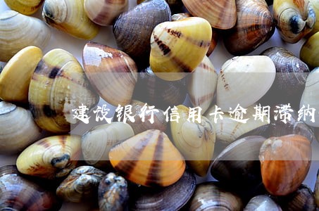 建设银行信用卡逾期滞纳金 建设银行信用卡逾期滞纳金