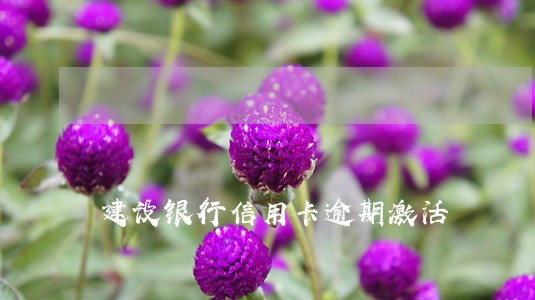 建设银行信用卡逾期激活 建设银行信用卡逾期激活