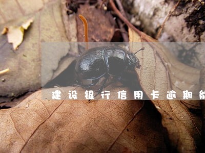 建设银行信用卡逾期能做分期吗 建设银行信用卡逾期能做分期吗