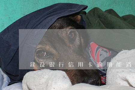 建设银行信用卡逾期能消除 建设银行信用卡逾期能消除