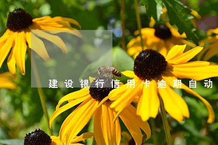 建设银行信用卡逾期自动 建设银行信用卡逾期自动