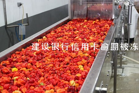 建设银行信用卡逾期被冻结 建设银行信用卡逾期被冻结