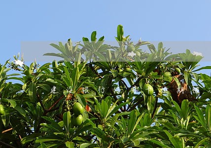 建设银行信用卡逾期被冻结了