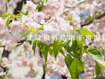 建设银行信用卡逾期被祈求 建设银行信用卡逾期被祈求