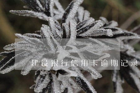 建设银行信用卡逾期记录怎么删除