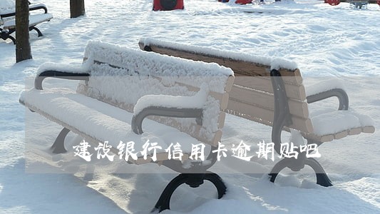 建设银行信用卡逾期贴吧