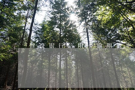 建设银行信用卡逾期费率 建设银行信用卡逾期费率
