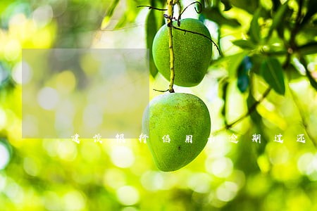 建设银行信用卡逾期过还能办吗