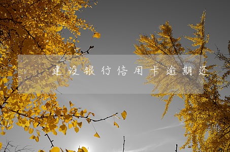 建设银行信用卡逾期还 建设银行信用卡逾期还