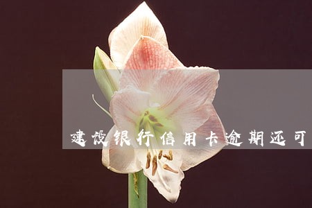 建设银行信用卡逾期还可以用吗