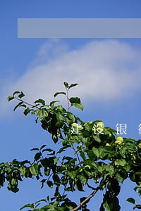 建设银行信用卡逾期还有额度吗 建设银行信用卡逾期还有额度吗