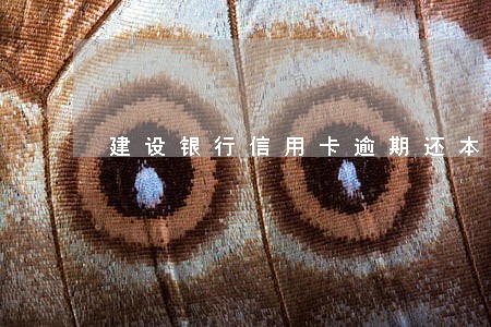 建设银行信用卡逾期还本金