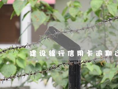 建设银行信用卡逾期还款 建设银行信用卡逾期还款