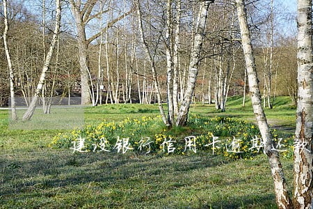 建设银行信用卡逾期还款减免