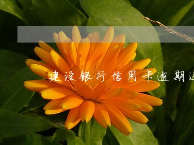 建设银行信用卡逾期还清后