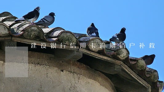 建设银行信用卡逾期销户补救 建设银行信用卡逾期销户补救