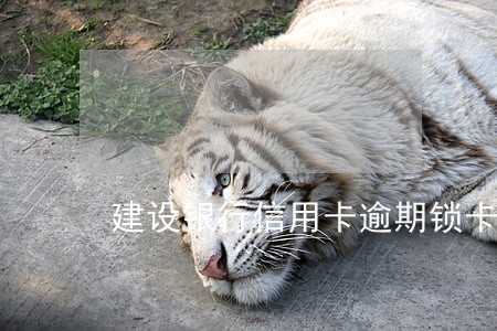 建设银行信用卡逾期锁卡 建设银行信用卡逾期锁卡