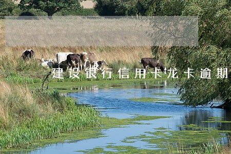 建设银行信用卡龙卡逾期 建设银行信用卡龙卡逾期